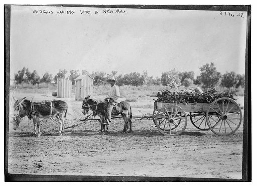 Mexicans hauling wood in New Mex. [Mexico