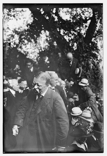 Roosevelt / 1916