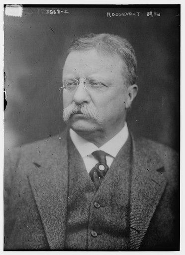 Roosevelt [i.e., Theodore Roosevelt