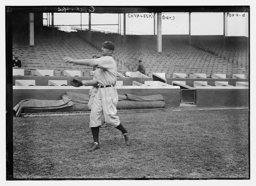 Harry Coveleski, Detroit AL (baseball)