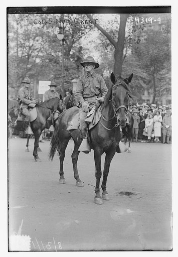 Col. Sidney Grant