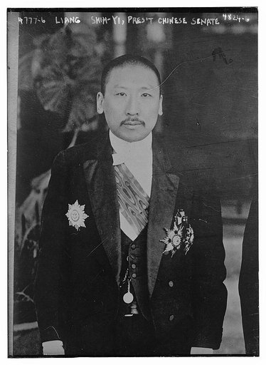 Liang Shih-Yi, Pres't. Chinese Senate