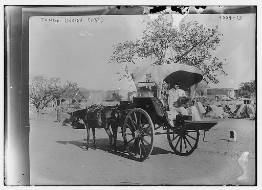 Tonga (Indian Cart)