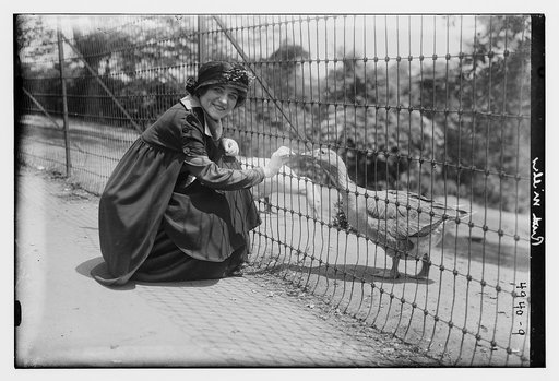 Ruth Miller