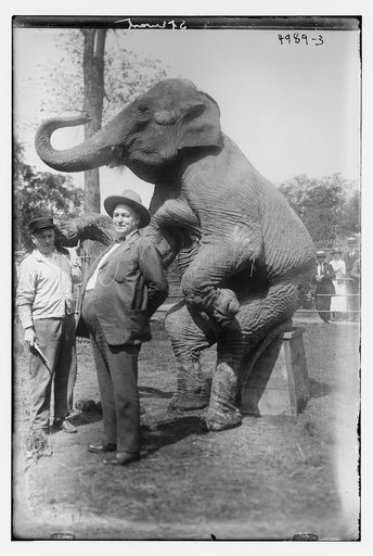 Stewart & elephant