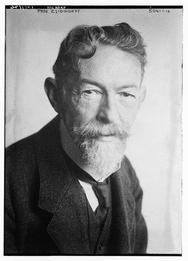 Prof. Richard Zsigmondy