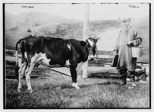 Coolidge