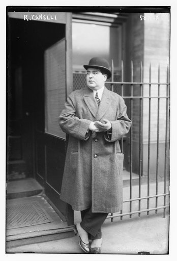 R. Zanelli