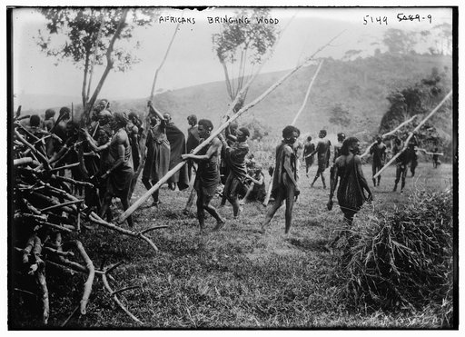 Africans bringing wood