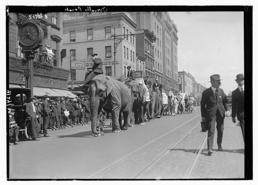 Overalls ["Circus Parade"