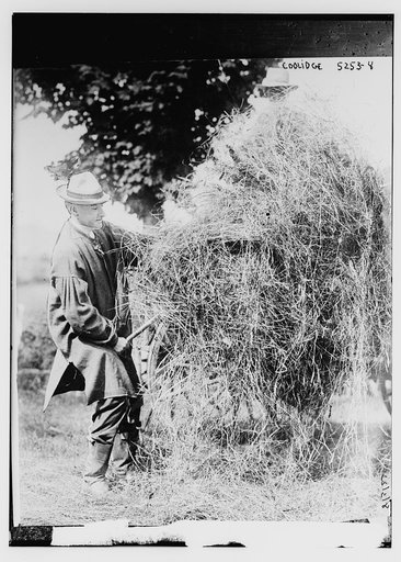 Coolidge