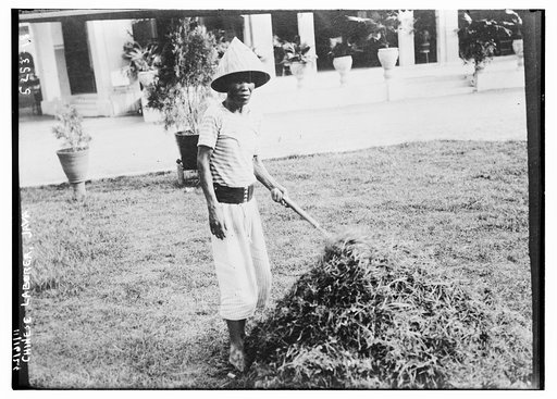 Chinese laborer, Java