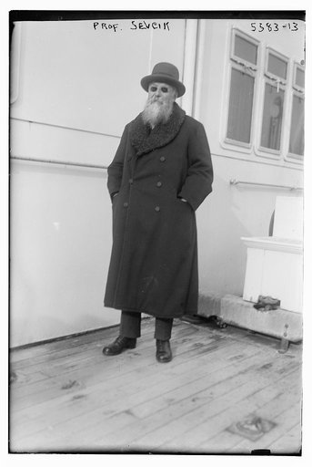 Prof. Sevcik