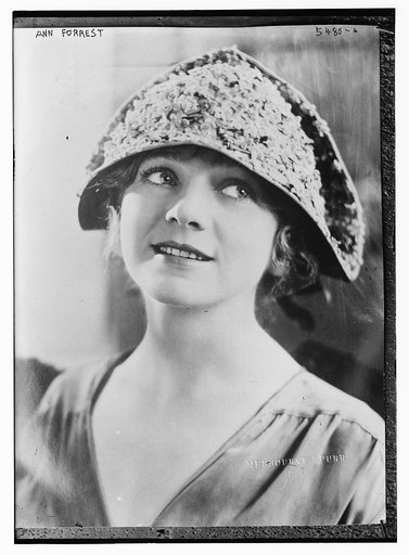 Ann Forrest