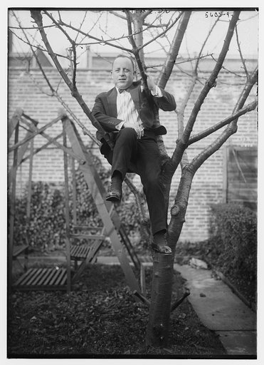 J.C. Smith [sitting in a tree