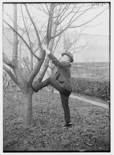 J.C. Smith [about to climb a tree