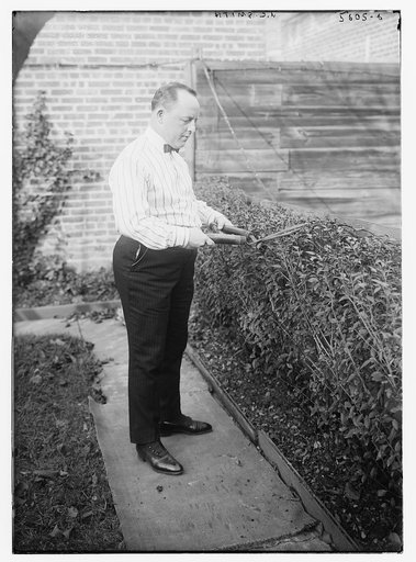 J.C. Smith [cutting hedges