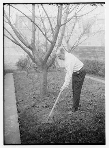 J.C. Smith [raking lawn