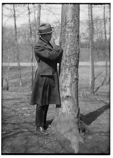 Man near tree
