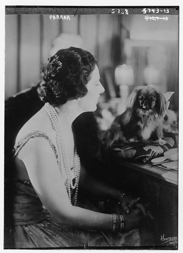 Farrar [with pet dog