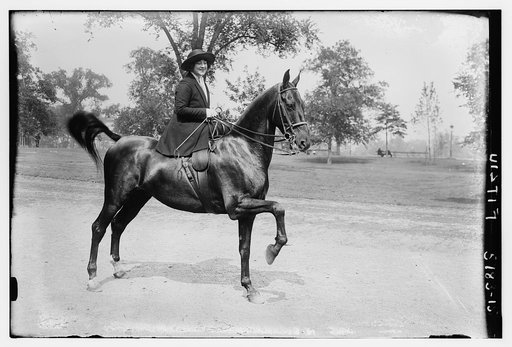 Fitziu [on horseback