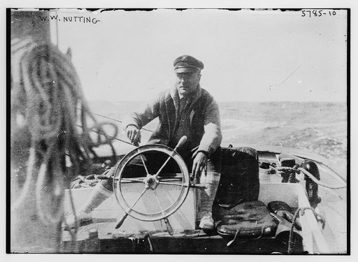 W.W. Nutting