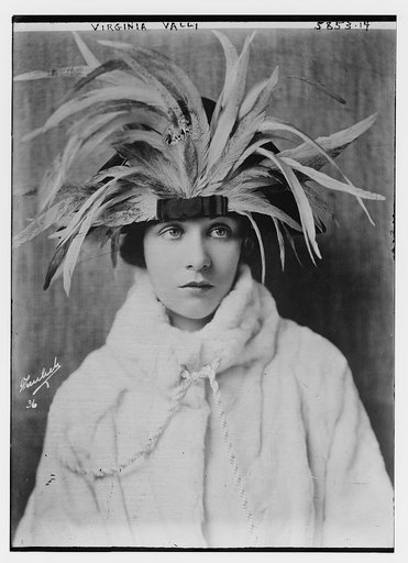 Virginia Valli