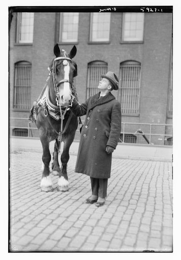 O'More [horse