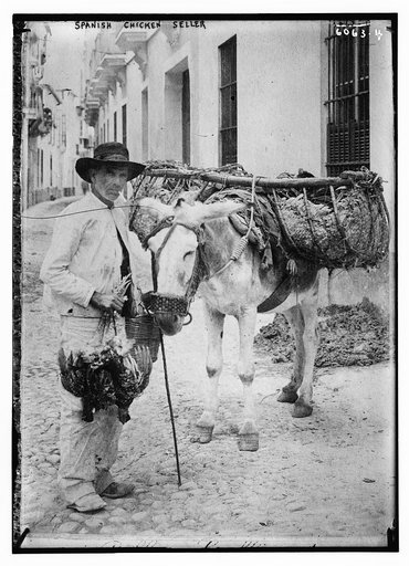 Spanish chicken seller