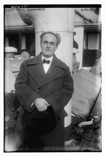 Paul Kammerer