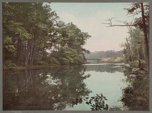 Bronx River in Bronx Park, New York