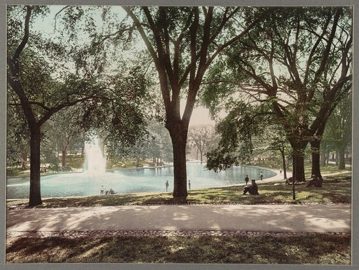 The Frog Pond, Boston Common
