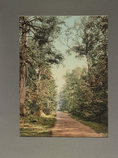 The Drive on Presque Isle [Park], Lake Superior