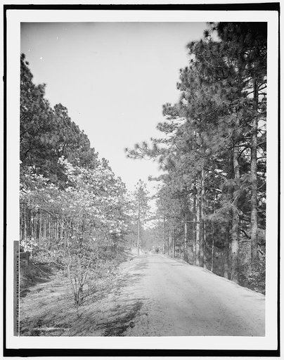 The Devil's backbone, Aiken, S.C.