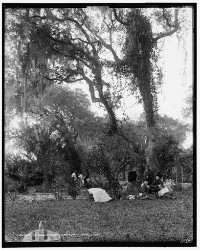 Garden near Daytona, A