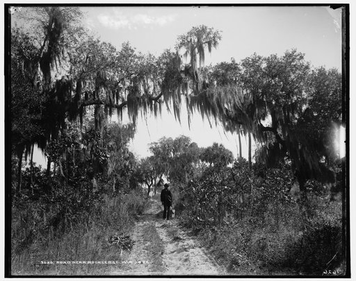 Road near Rockledge