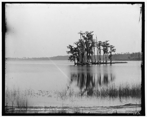 Lake Louise near Seville, Fla.