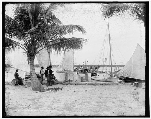 Landing at Palm Beach, The