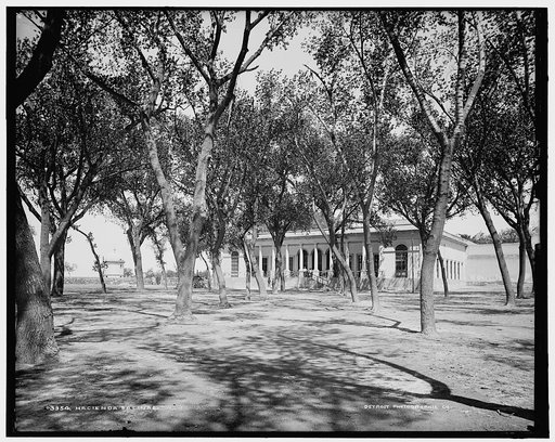 Hacienda Salinas