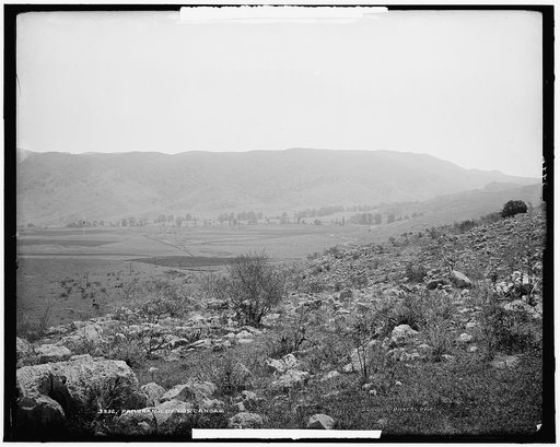 Panorama of Los Canoas