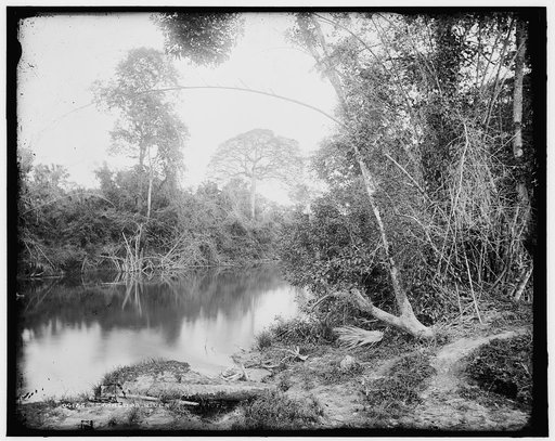 Temasopa [i.e. Tamasopo] River