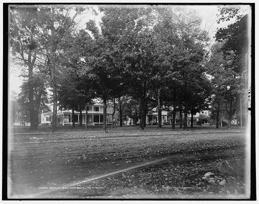 Gratiot Ave. cottages, Mt. Clemens
