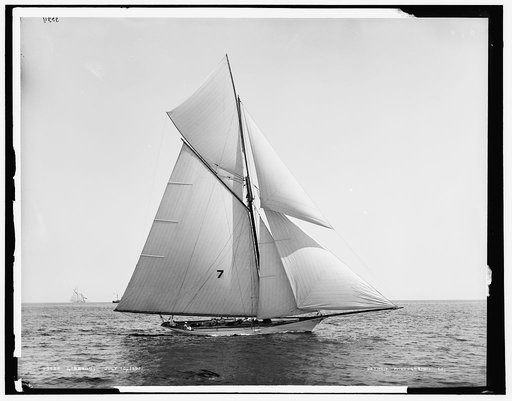 Gossoon, July 10, 1890