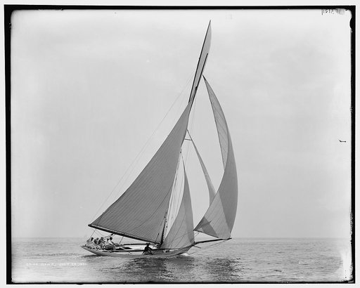 Hawk, July 22, 1891
