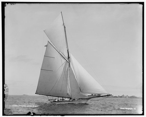 Hawk, Sept. 5, 1892