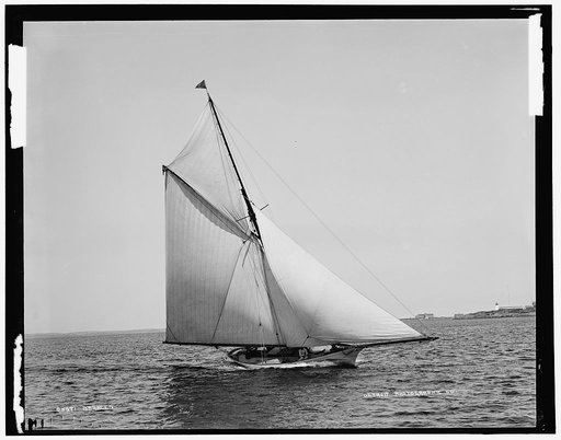 Saracen
