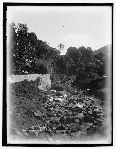 On the road to the Botanical Gardens, Martinique, W.I.