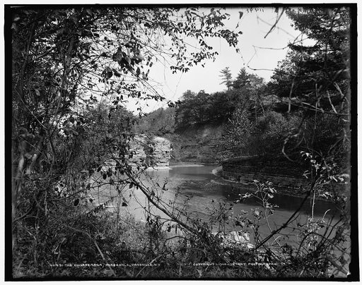 Conaseraga [i.e. Canaseraga], Poagshole, Dansville, N.Y., The