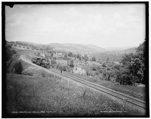 Houghtaling Valley, near Tully, N.Y.