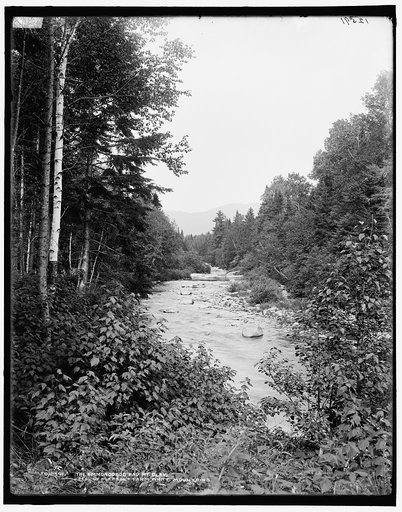 Ammonoosuc and Mt. Clay, Mt. Pleasant Farm, White Mountains, The